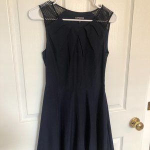 Express Navy Dress